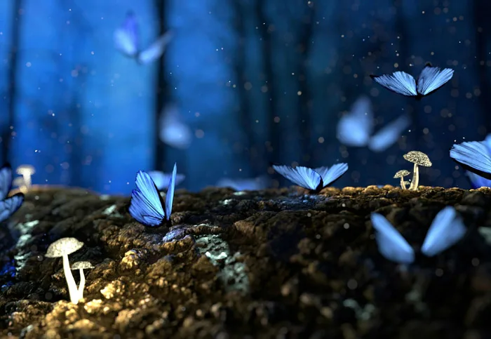 Com crear històries a partir de mites i llegendes catalanes