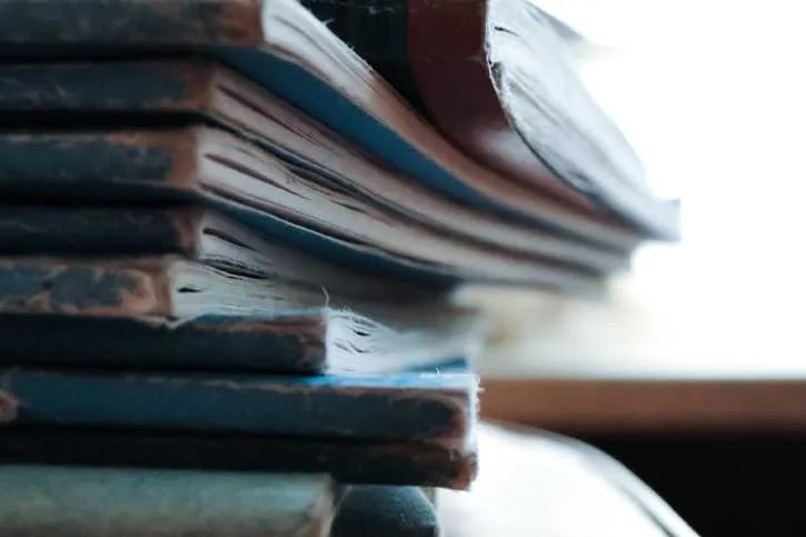 Història de l’antinovel·la: consolidació i reconeixement